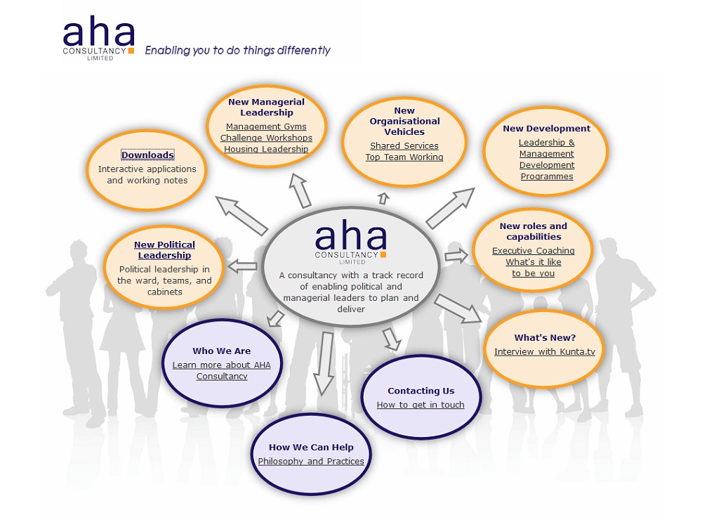 AHA Consultancy website screenshot